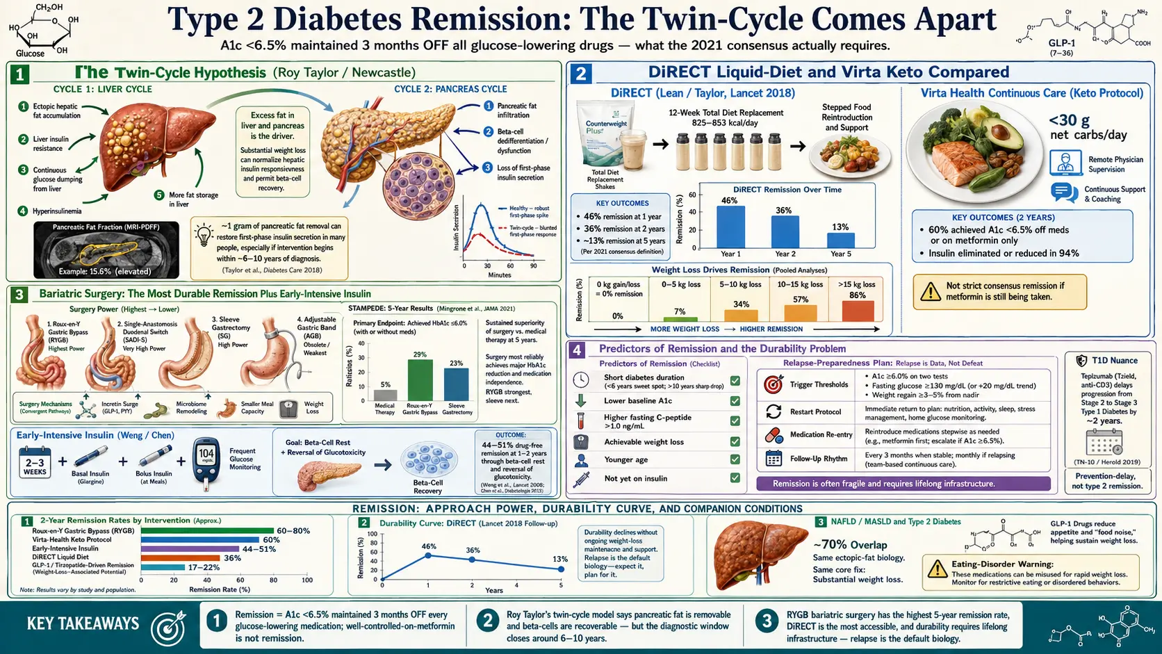 Diabetes Remission and Reversal Strategies — scientific infographic poster