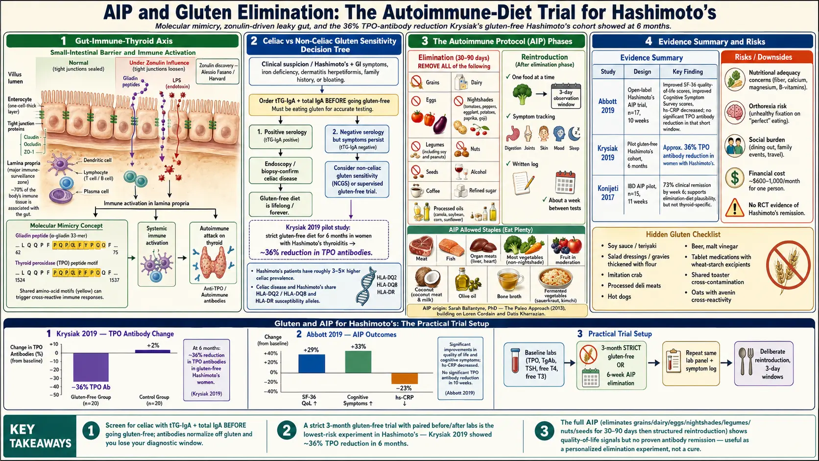 AIP and Gluten Elimination for Hashimoto's — scientific infographic poster
