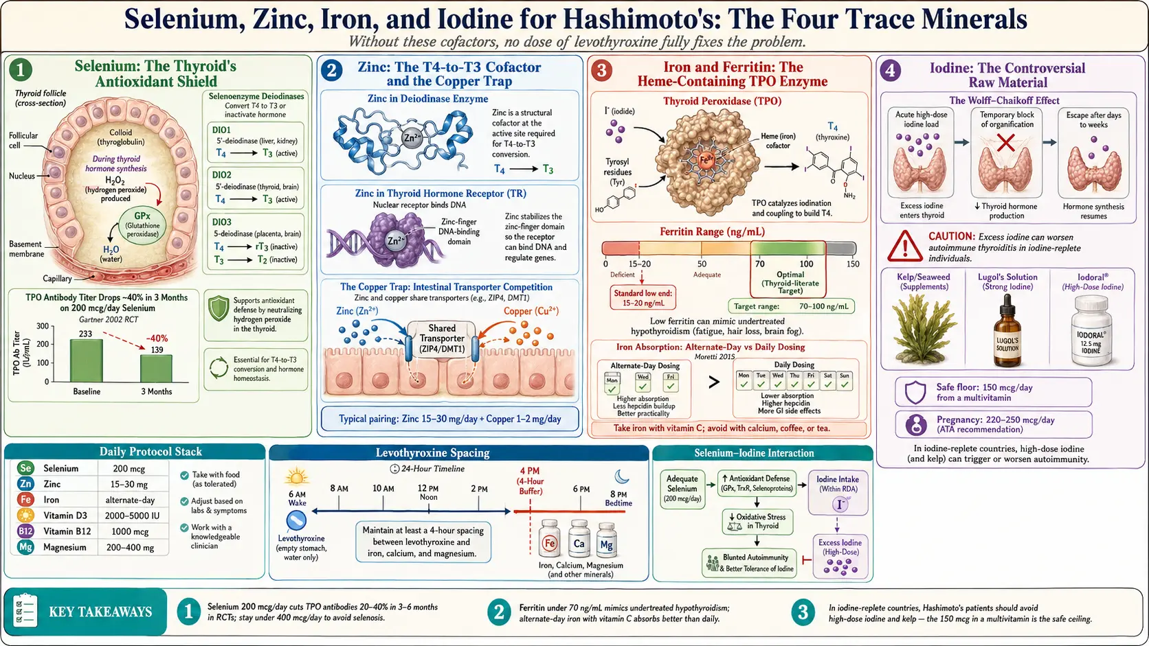 Selenium Zinc Iron Iodine — scientific infographic poster