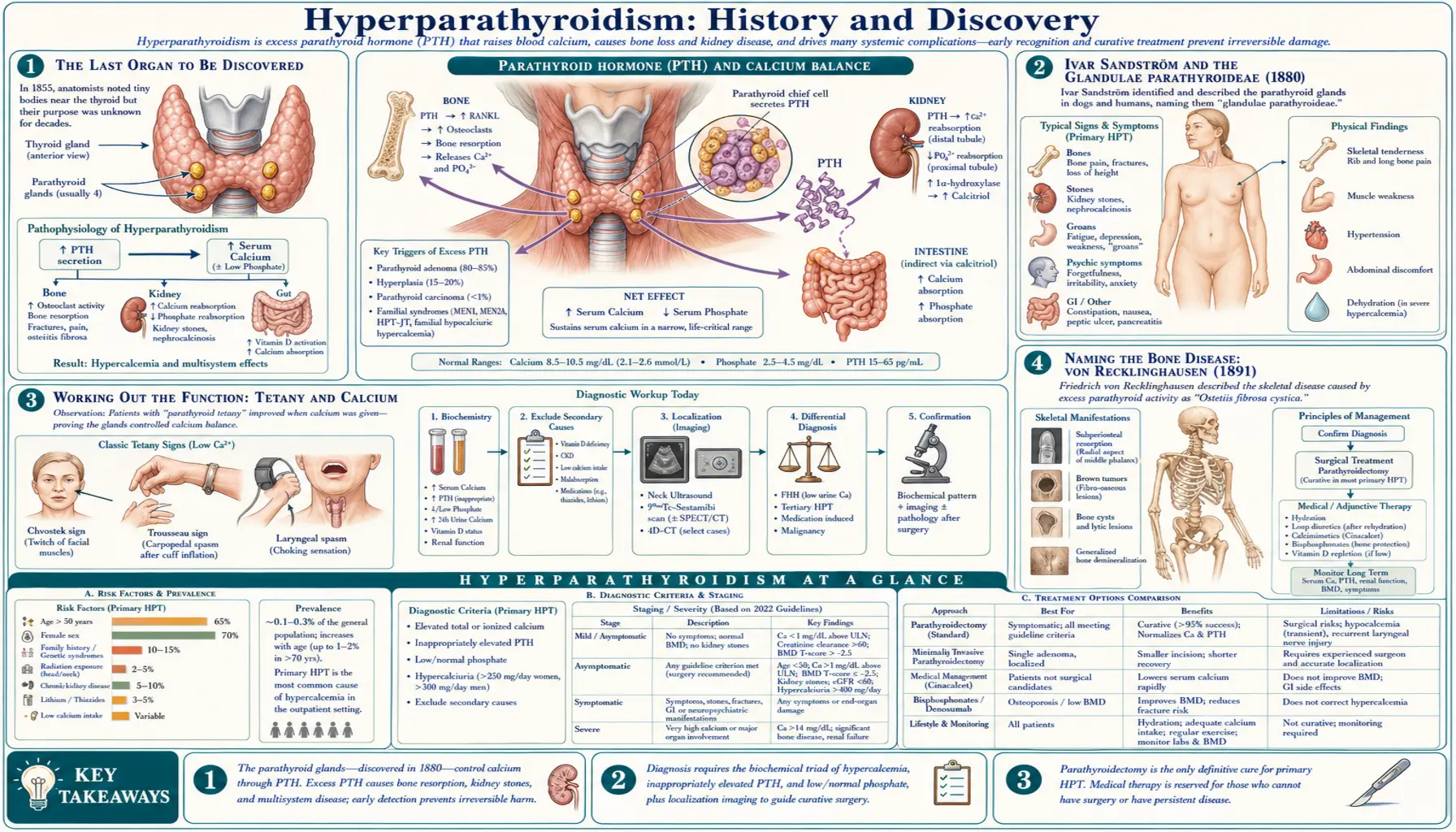 History — scientific infographic poster