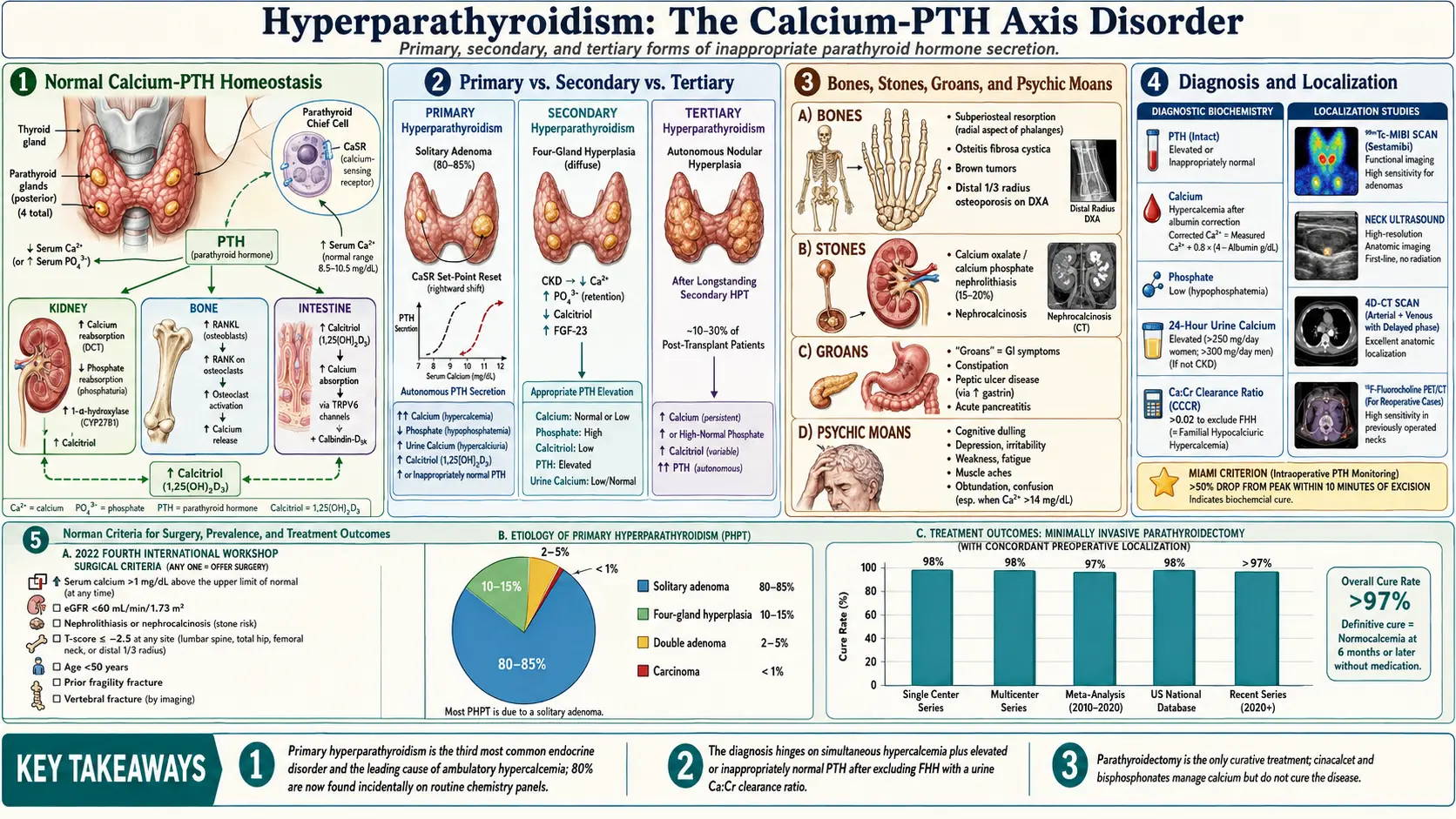 Hyperparathyroidism — scientific infographic poster