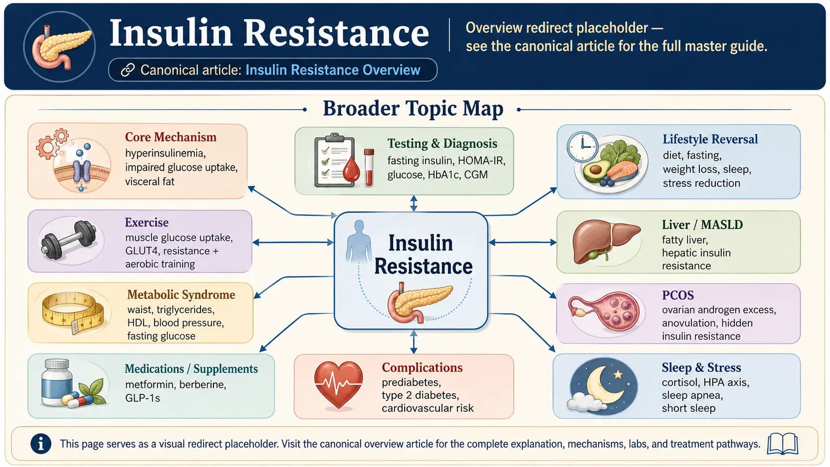 Insulin Resistance — scientific infographic poster