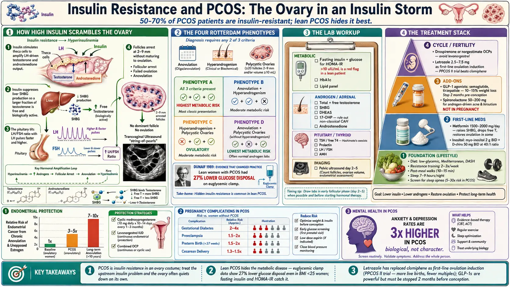 Insulin Resistance and PCOS — scientific infographic poster