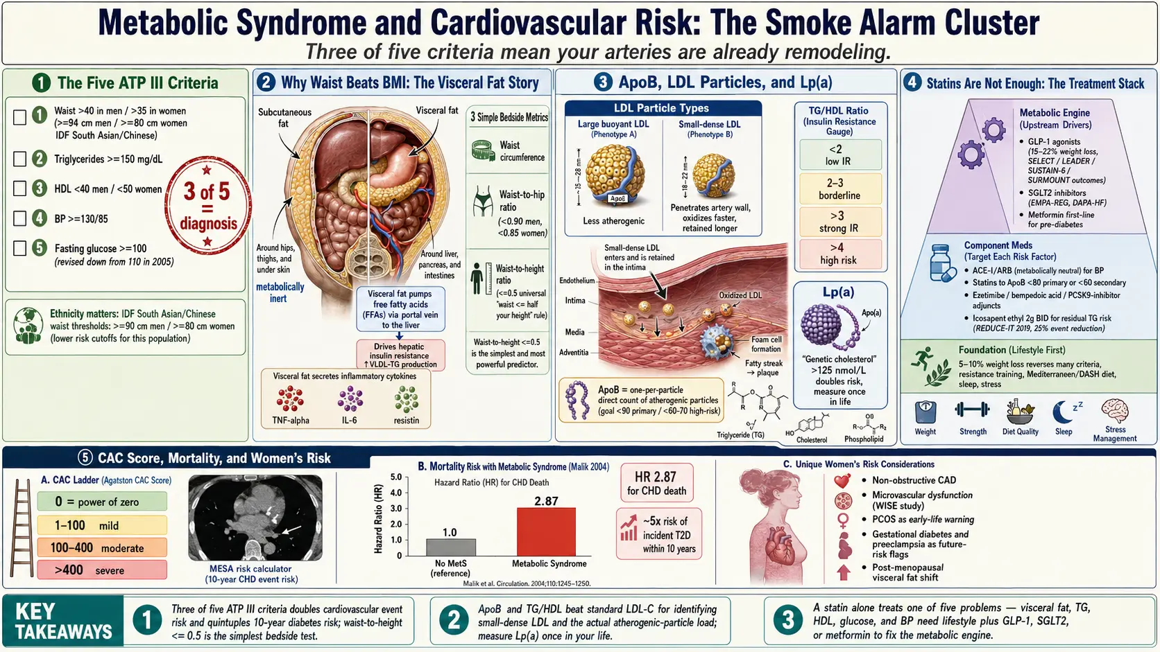 Metabolic Syndrome Cardiovascular Risk — scientific infographic poster