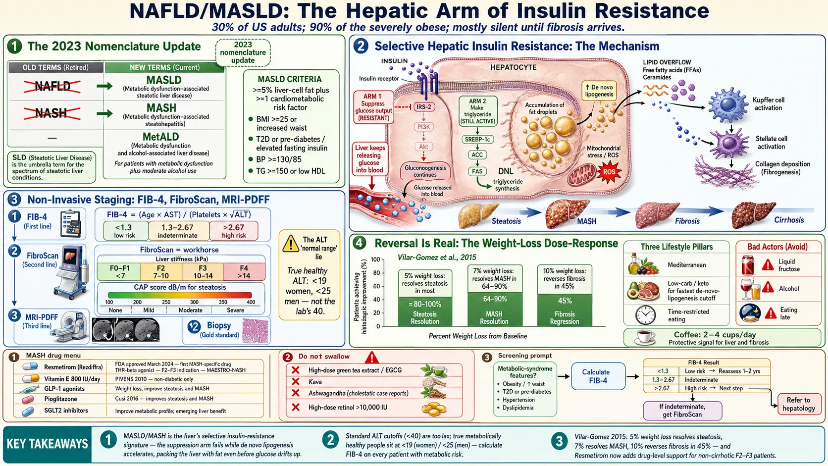 NAFLD MASLD Connection — scientific infographic poster