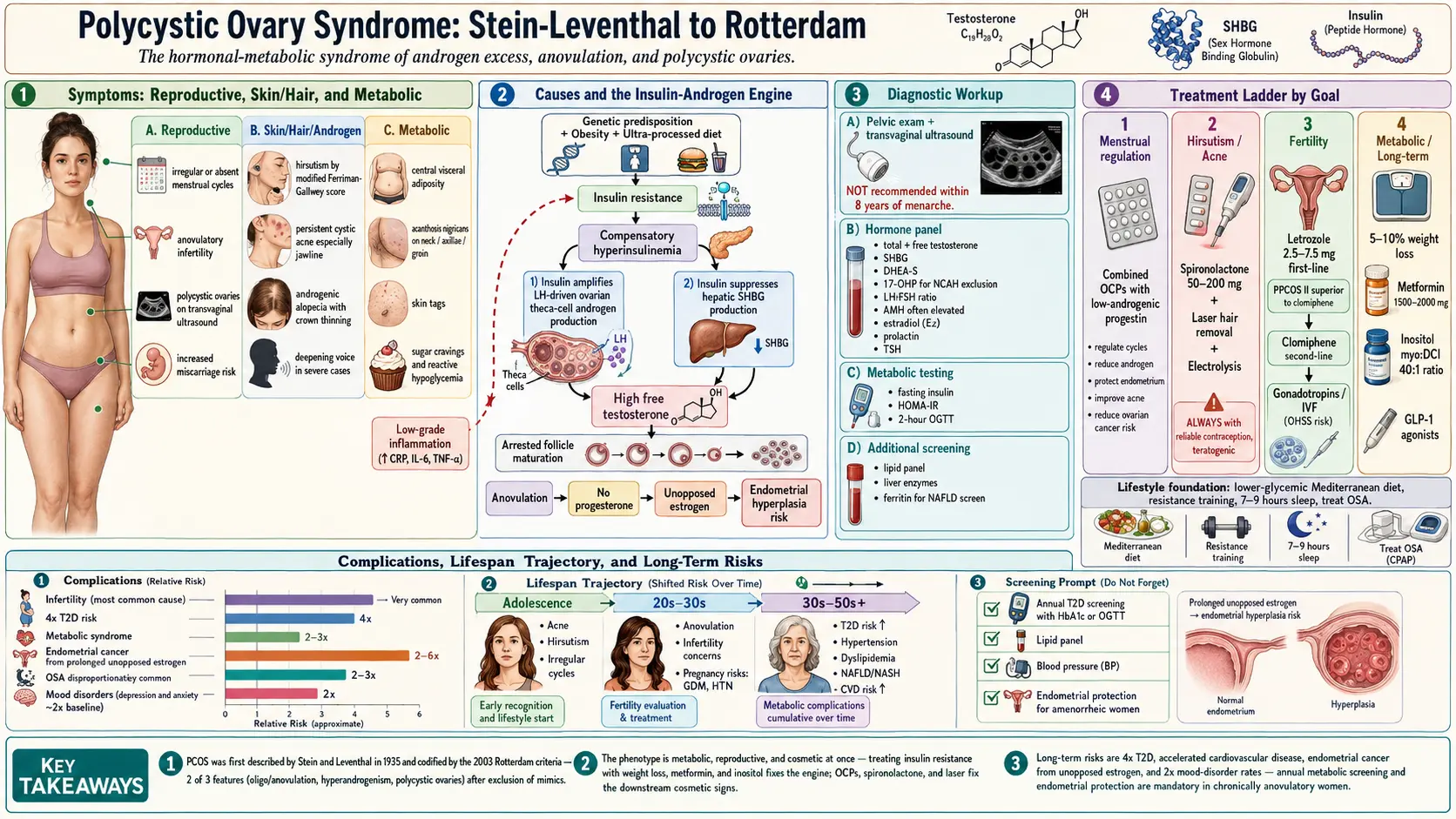 Polycystic Ovary Syndrome — scientific infographic poster
