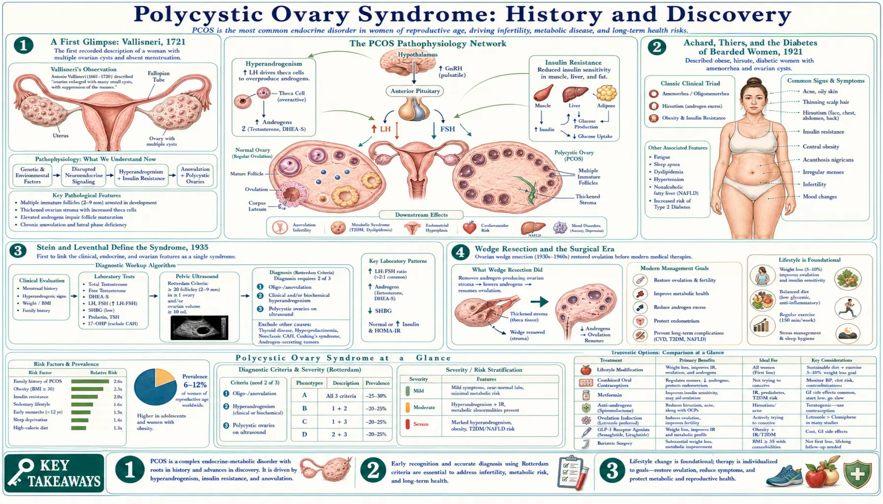 History — scientific infographic poster
