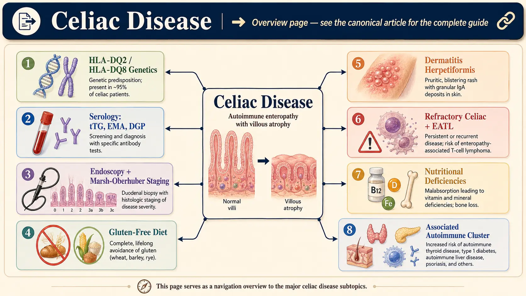 Celiac Disease — scientific infographic poster