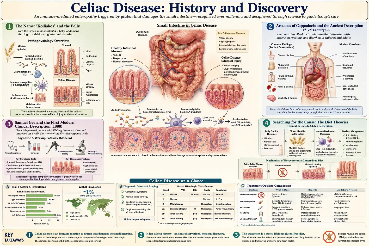 History — scientific infographic poster