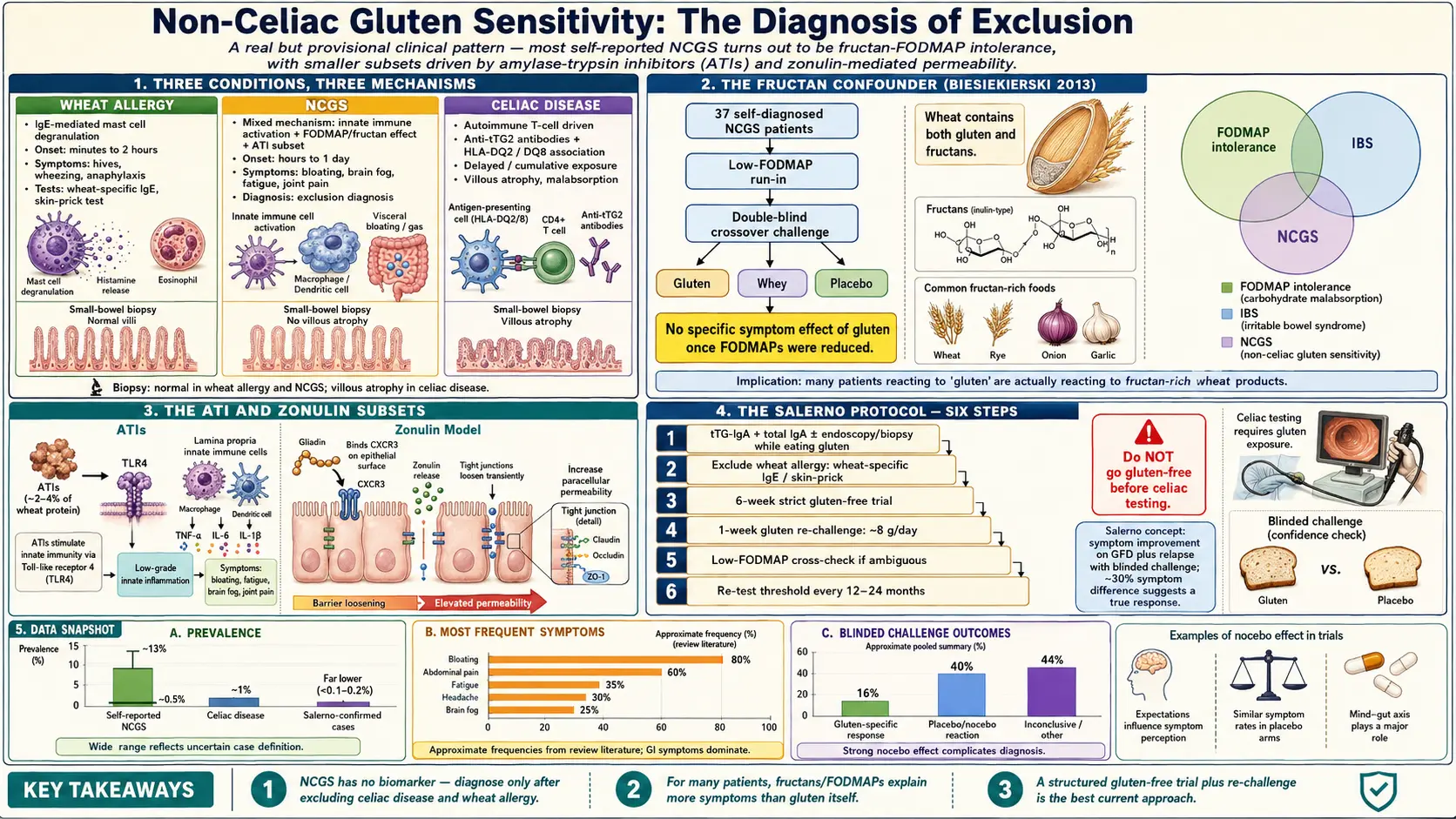 Non Celiac Gluten Sensitivity — scientific infographic poster
