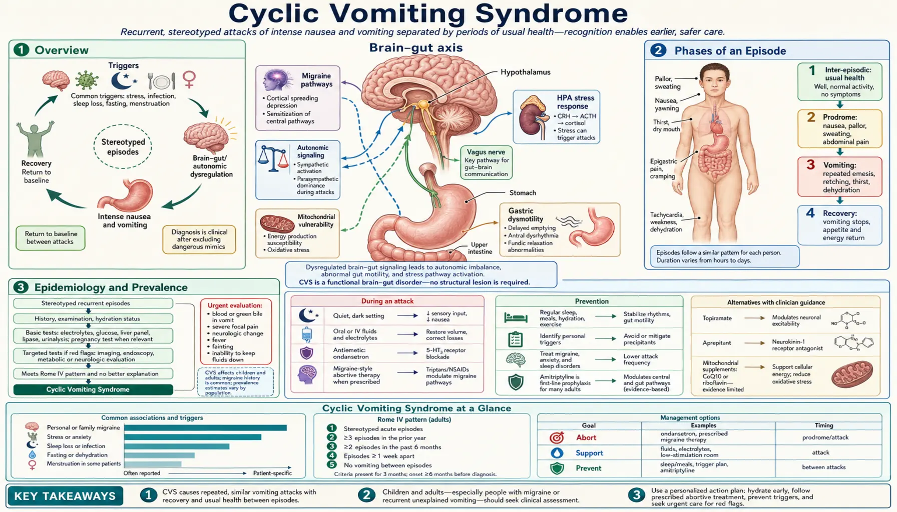 Cyclic Vomiting Syndrome — scientific infographic poster