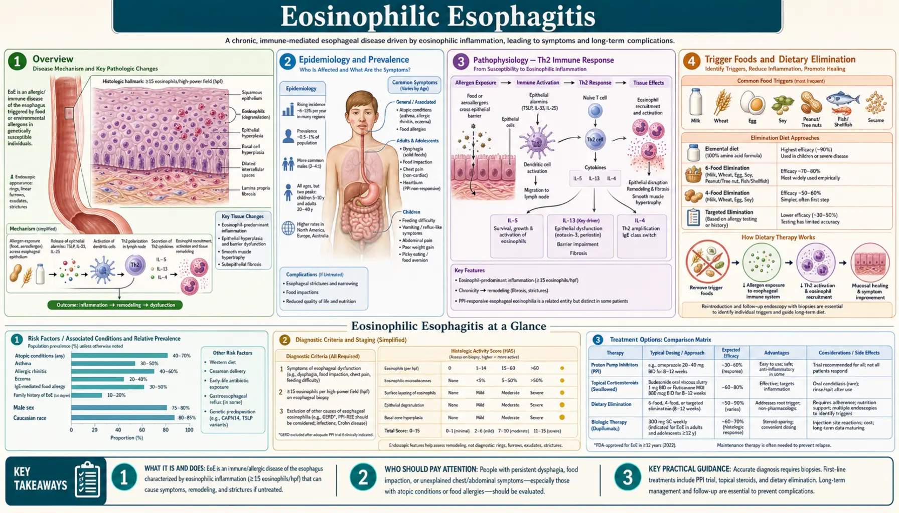 Eosinophilic Esophagitis — scientific infographic poster