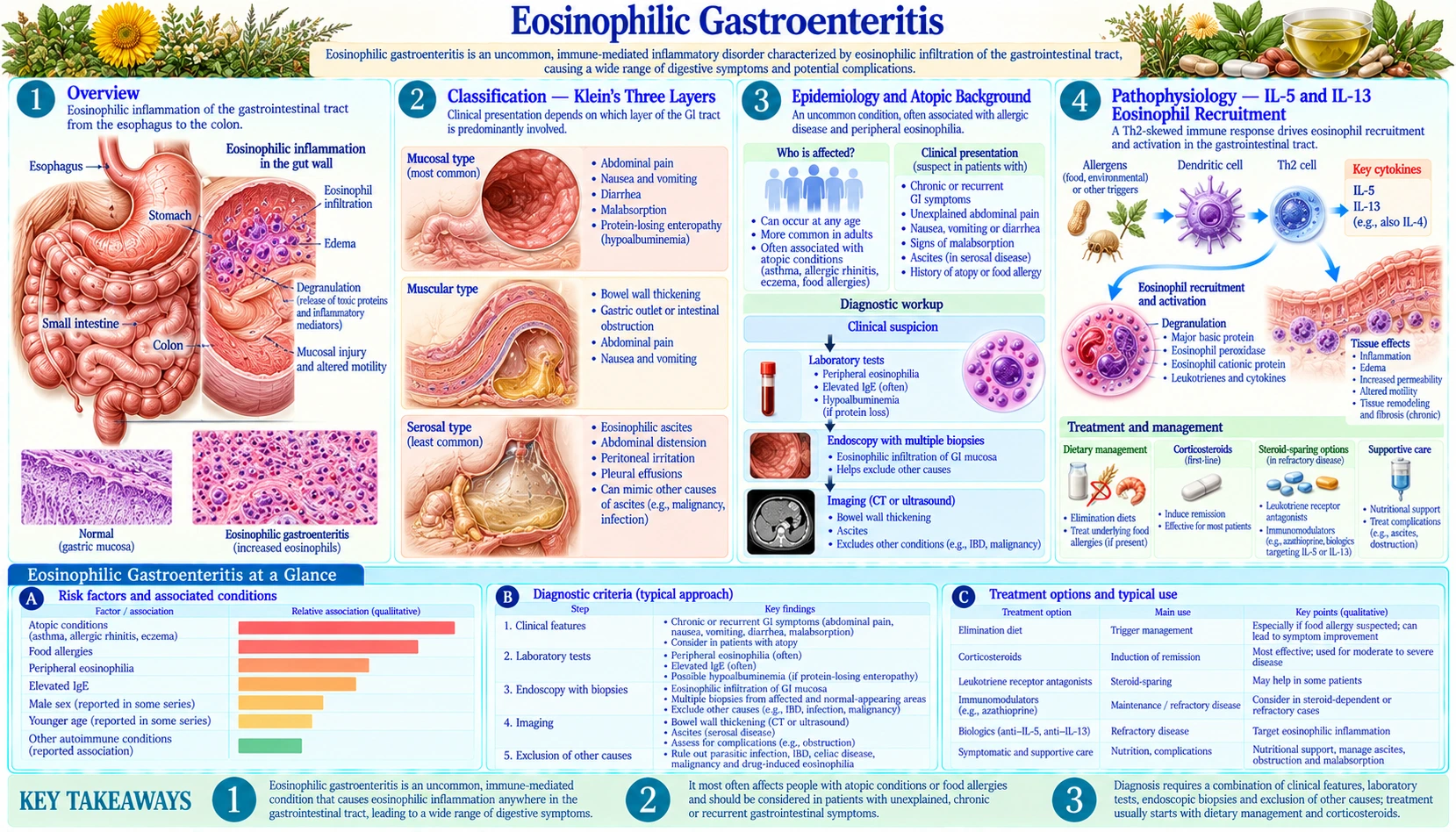 Eosinophilic Gastroenteritis — scientific infographic poster
