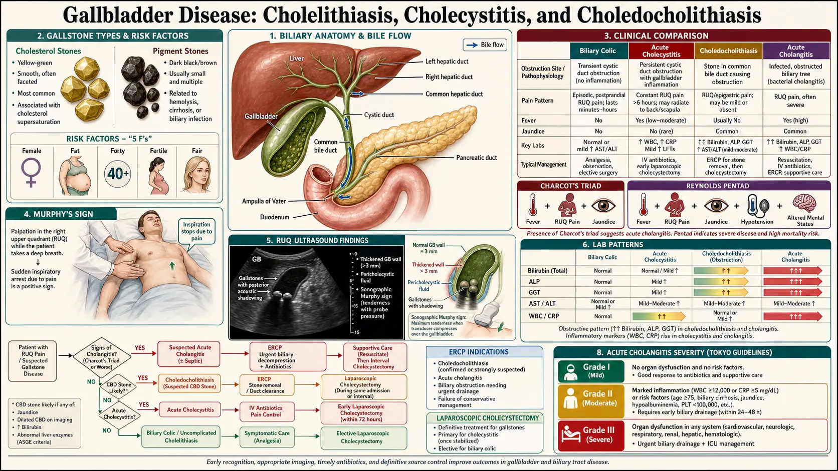 Gallbladder Disease — scientific infographic poster