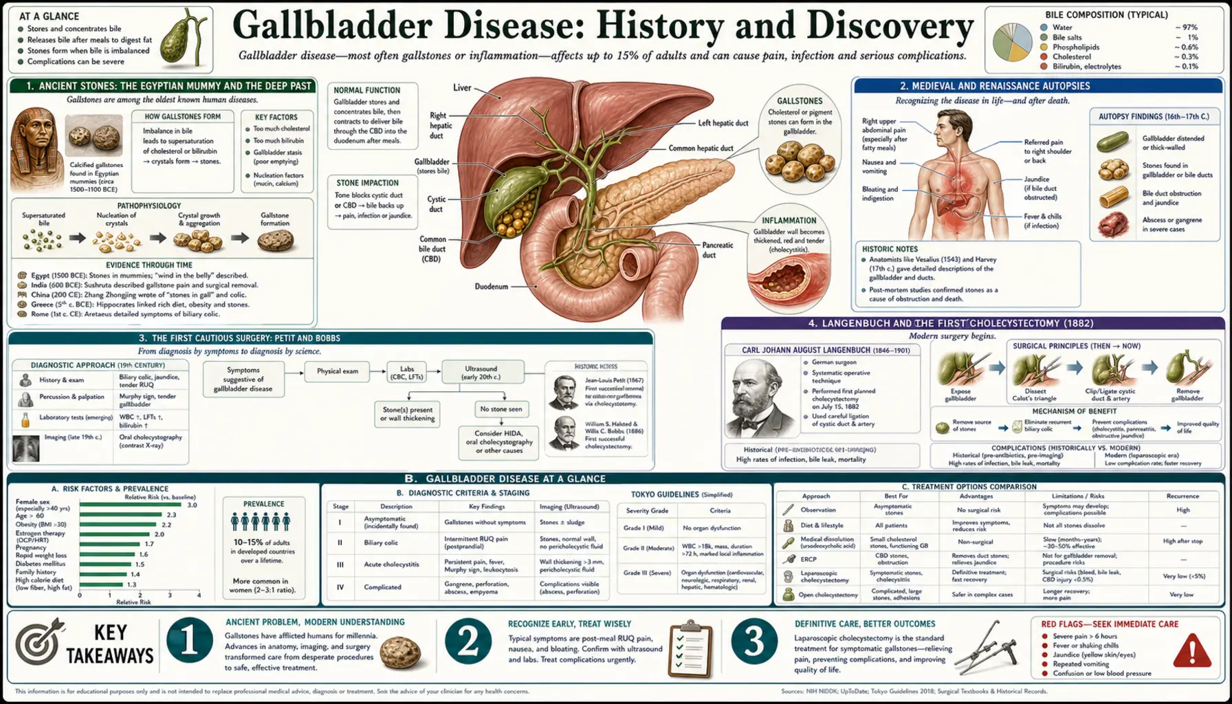 History — scientific infographic poster