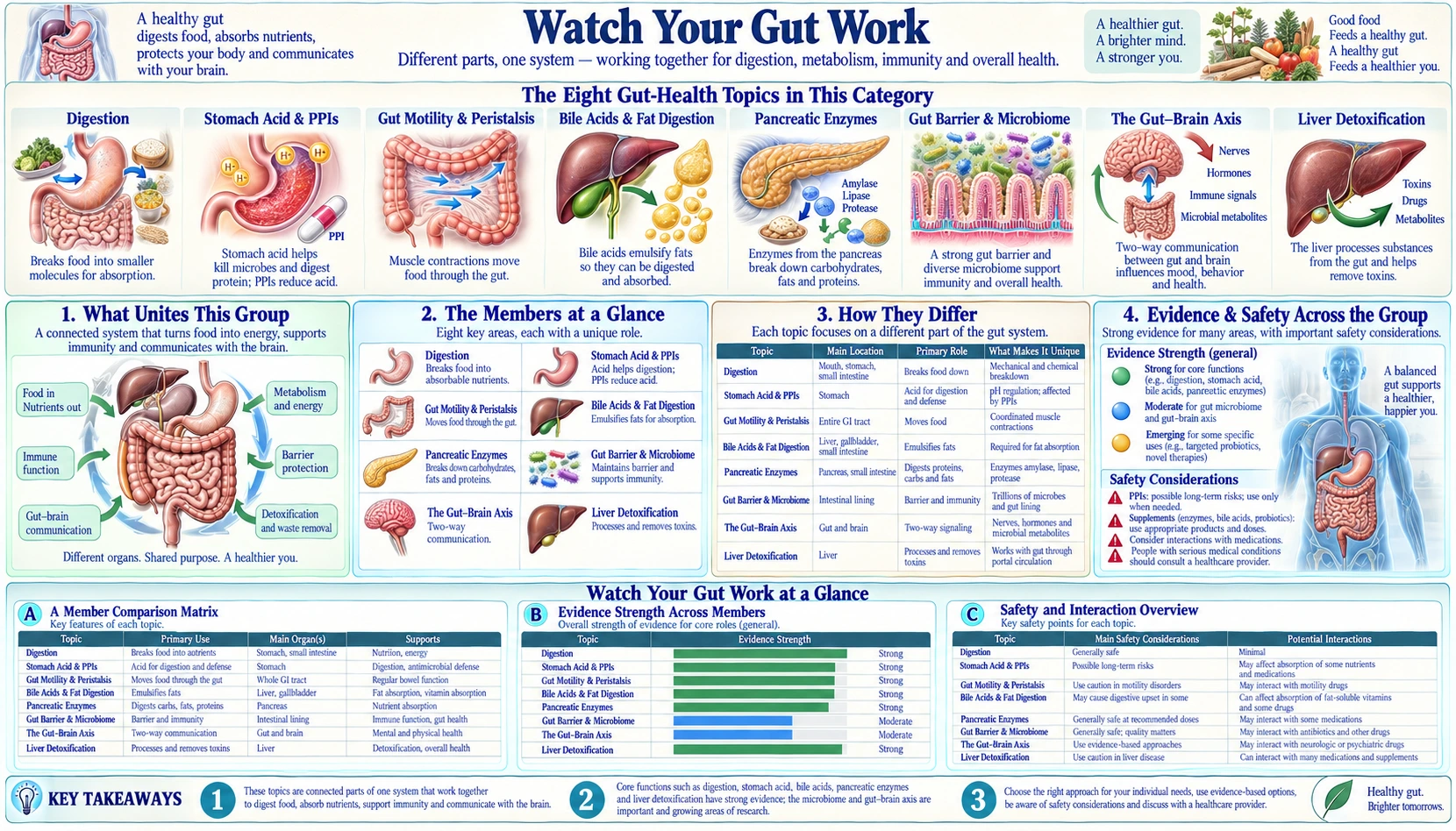 Animations — scientific infographic poster