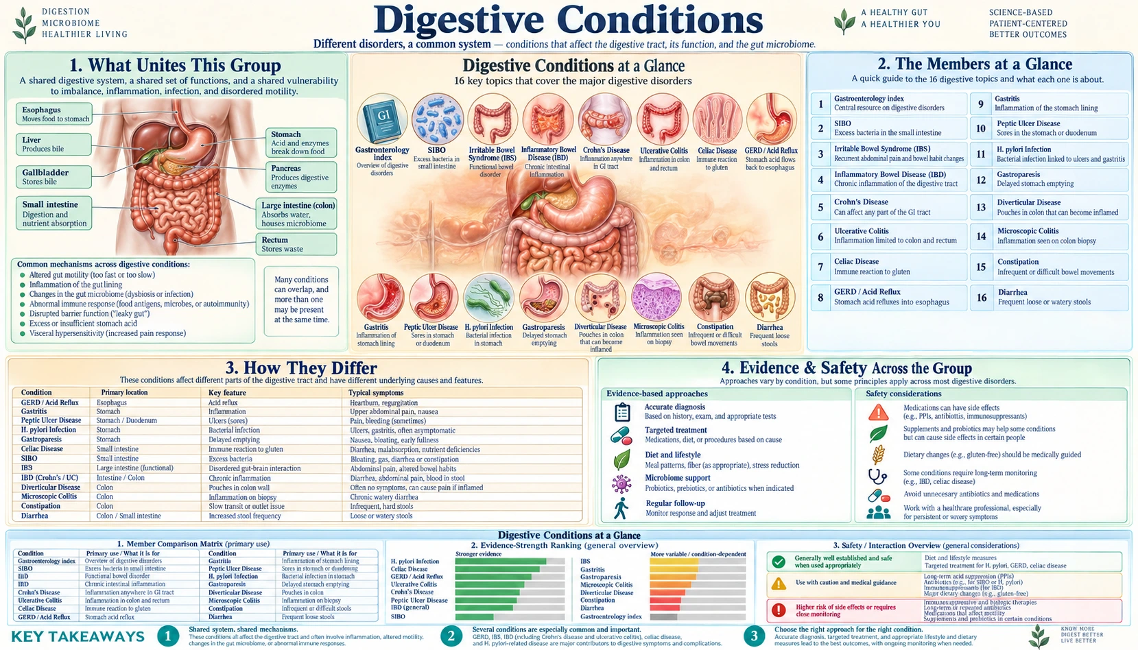 Digestive Conditions — scientific infographic poster