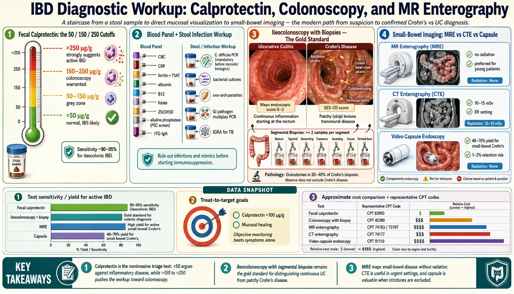 Diagnostic Workup Calprotectin Colonoscopy MRE — scientific infographic poster