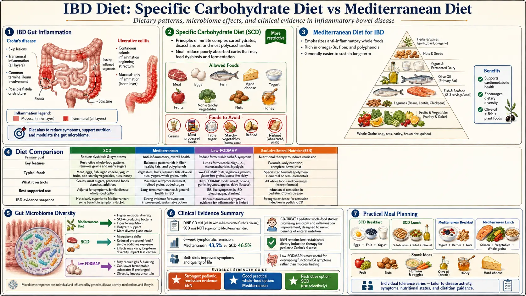 Diet for IBD Specific Carbohydrate and Mediterranean — scientific infographic poster