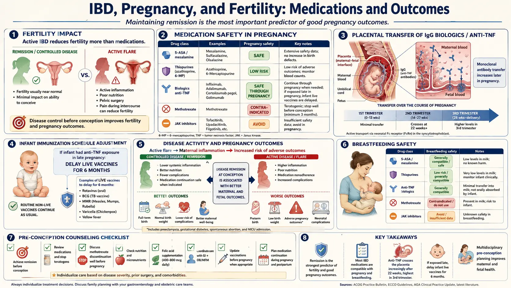 Pregnancy and IBD Fertility Medications Outcomes — scientific infographic poster