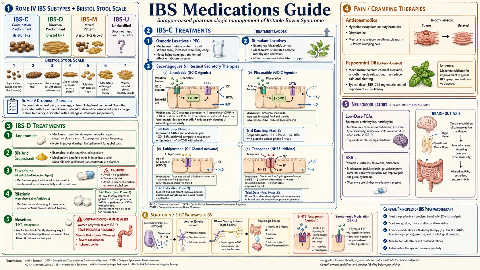 IBS Medications Guide — scientific infographic poster