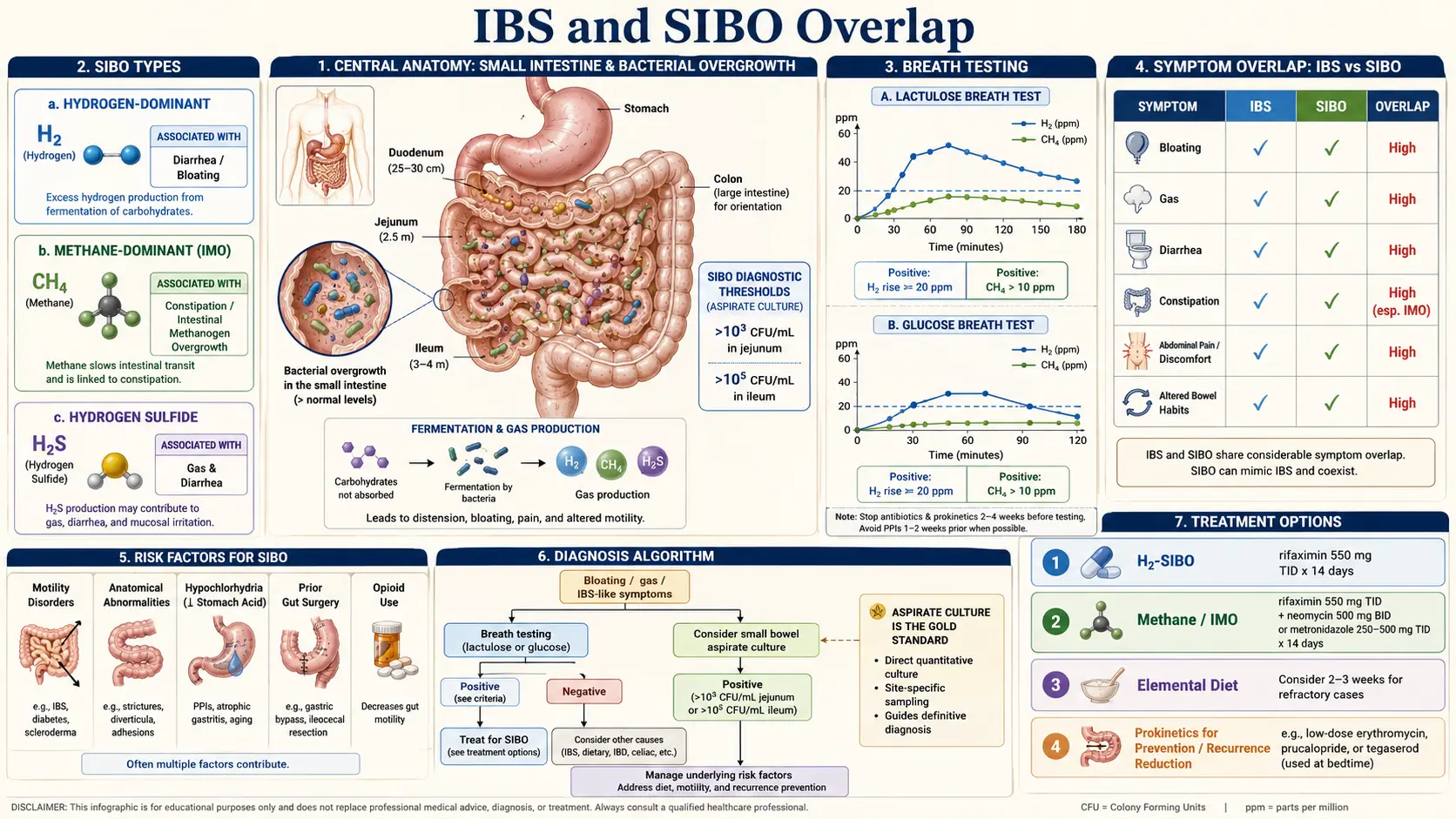 IBS and SIBO Overlap — scientific infographic poster