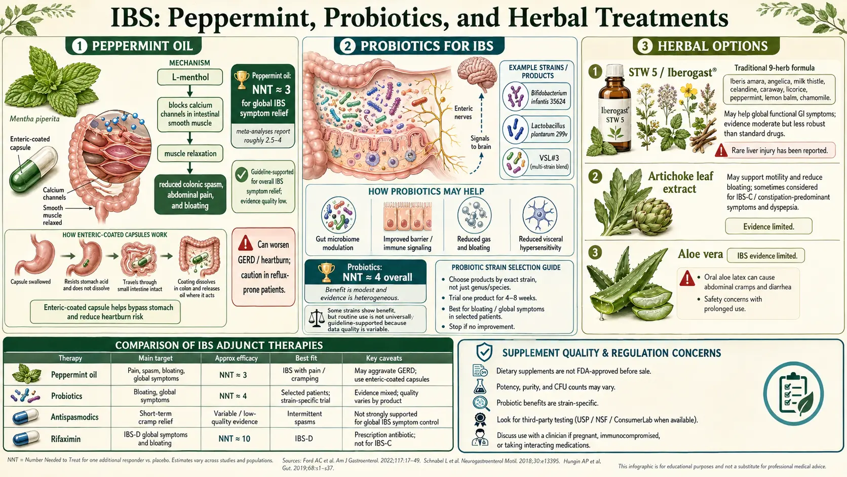 Peppermint Probiotics and Herbals — scientific infographic poster