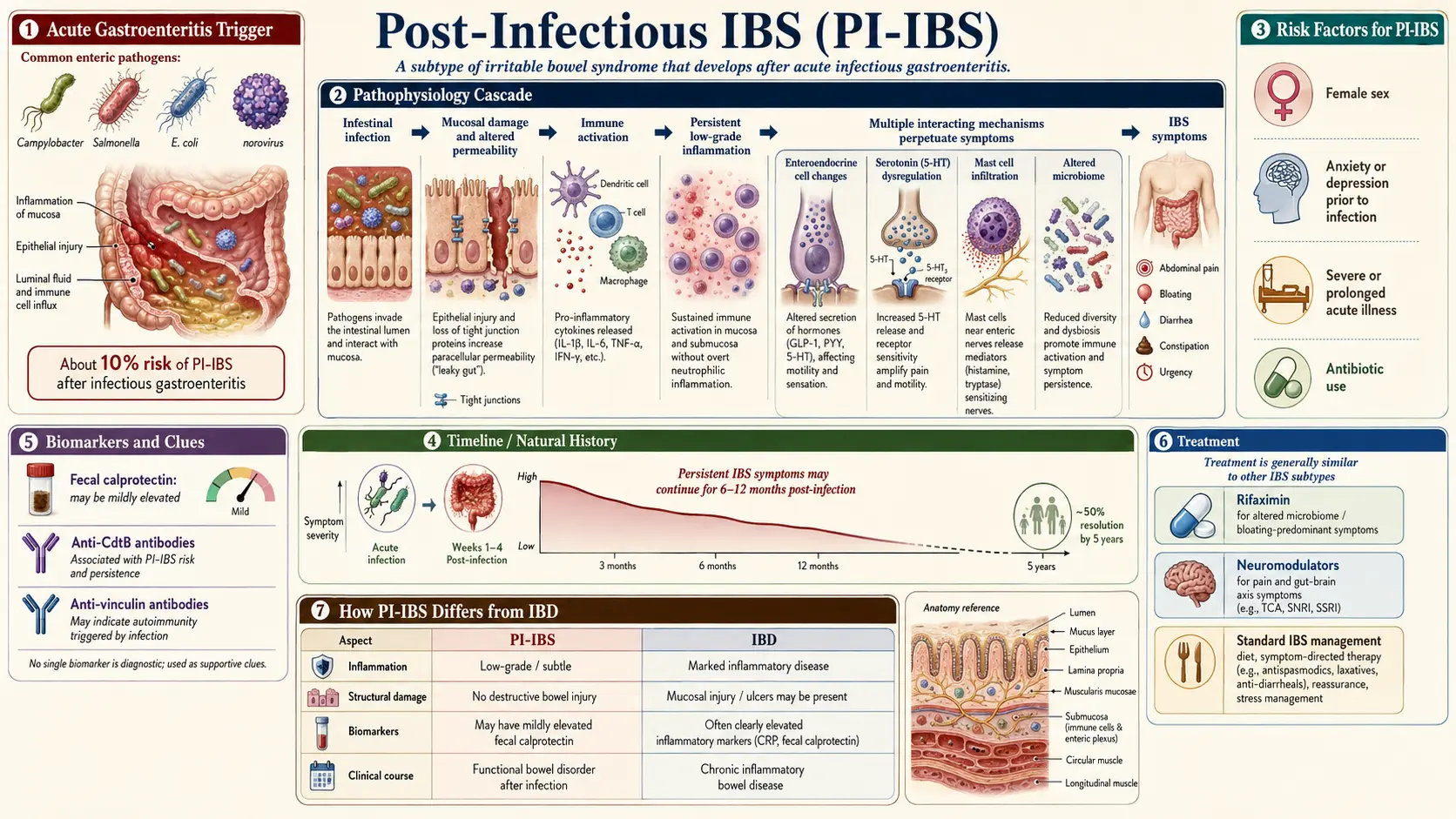 Post Infectious IBS — scientific infographic poster