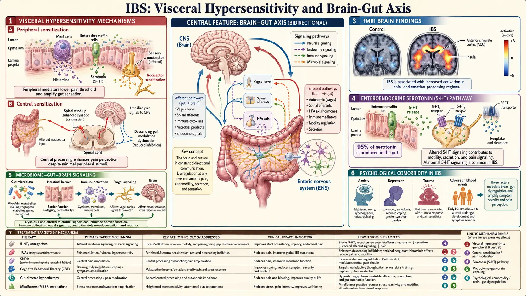 Visceral Hypersensitivity and Brain Gut Axis — scientific infographic poster