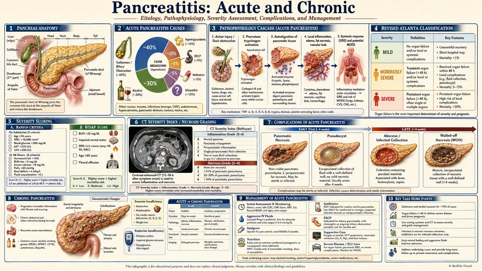 Pancreatitis — scientific infographic poster