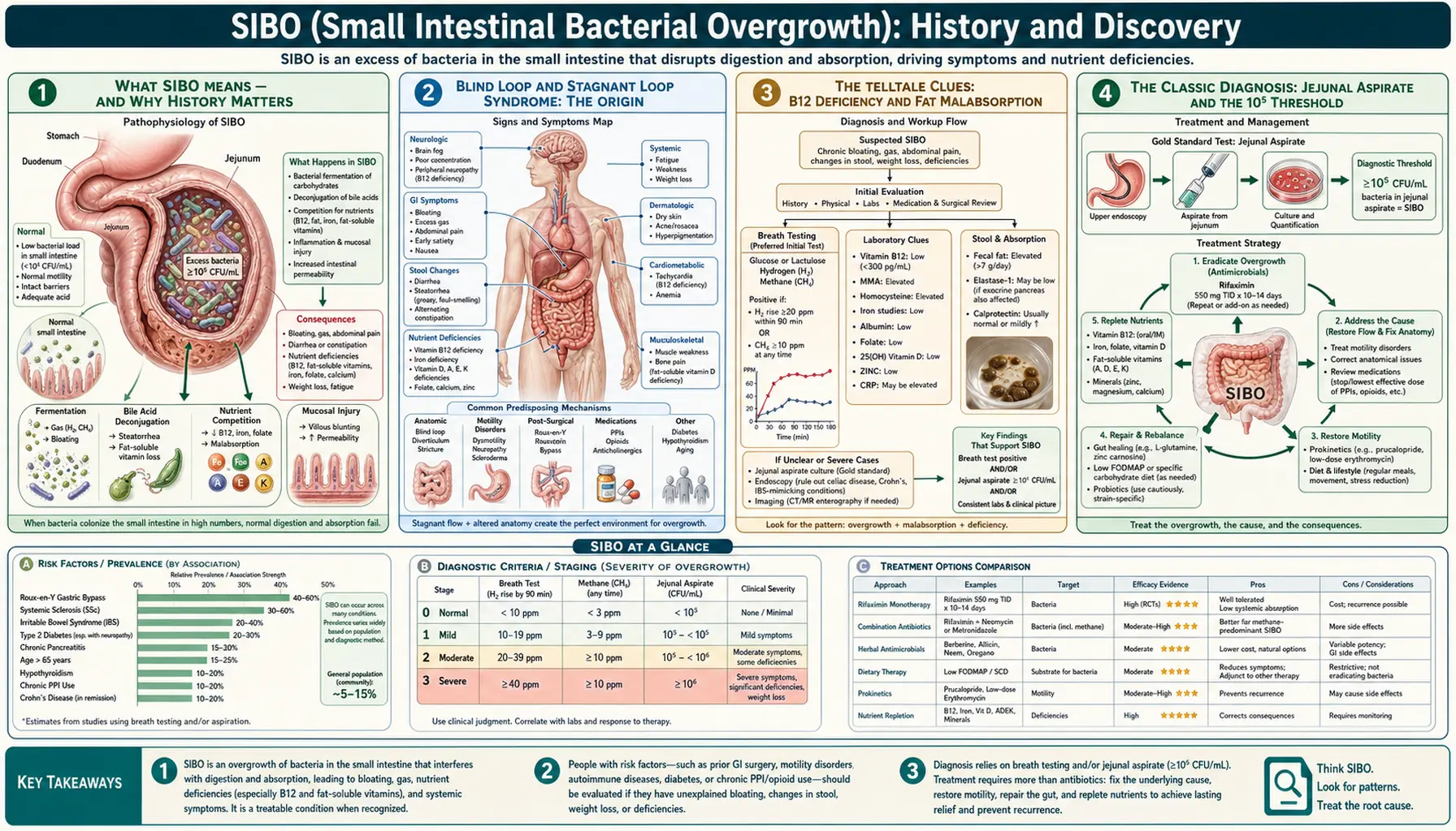 History — scientific infographic poster