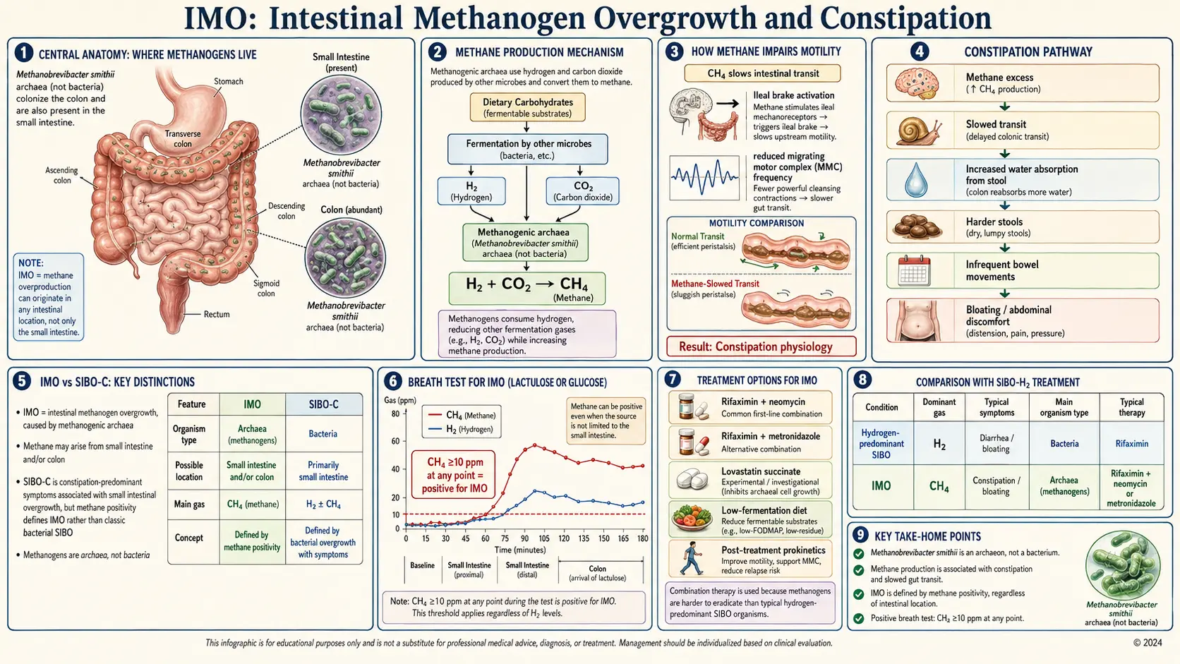 IMO Intestinal Methanogen Overgrowth and Constipation — scientific infographic poster