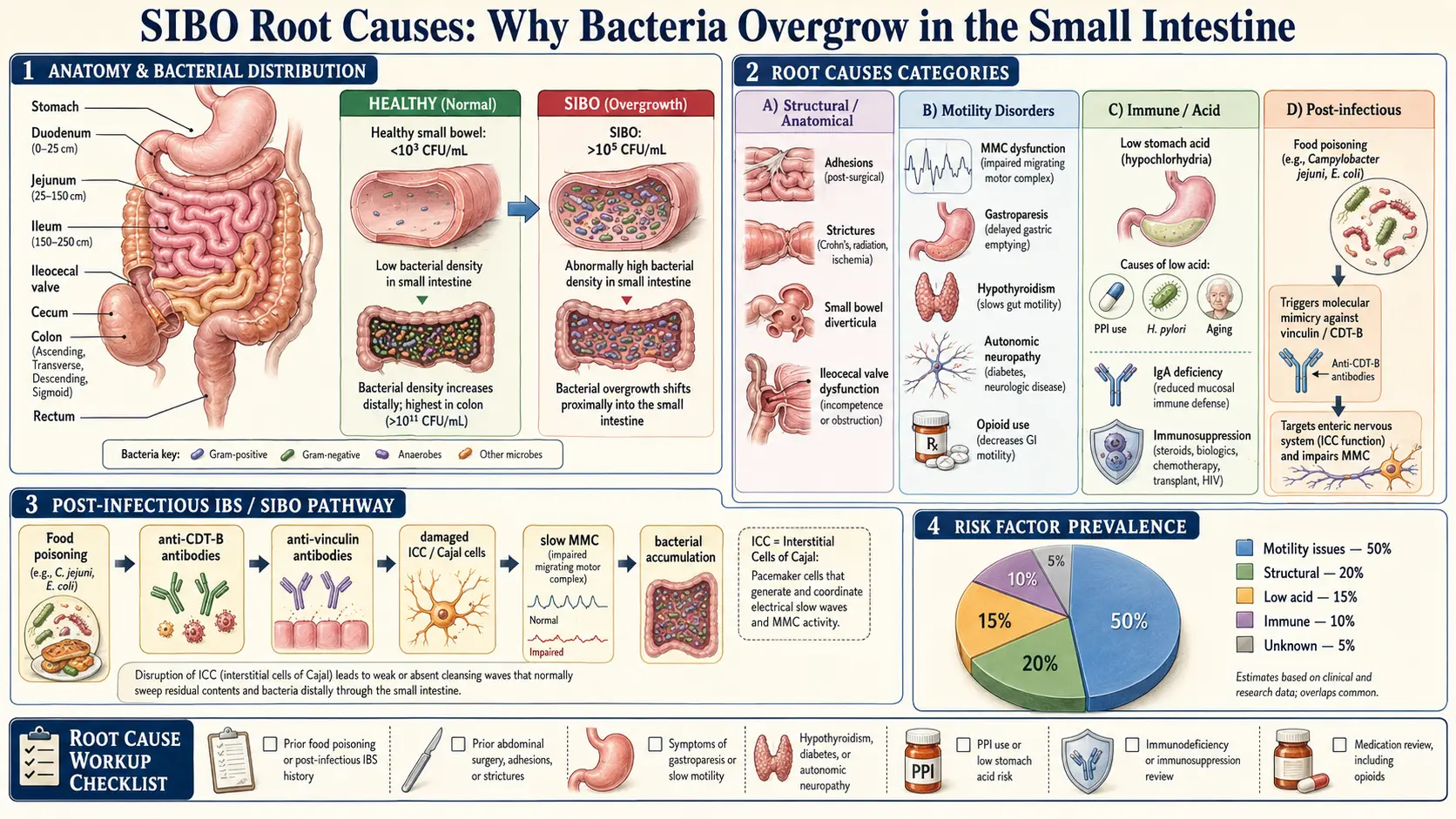 Root Causes — scientific infographic poster