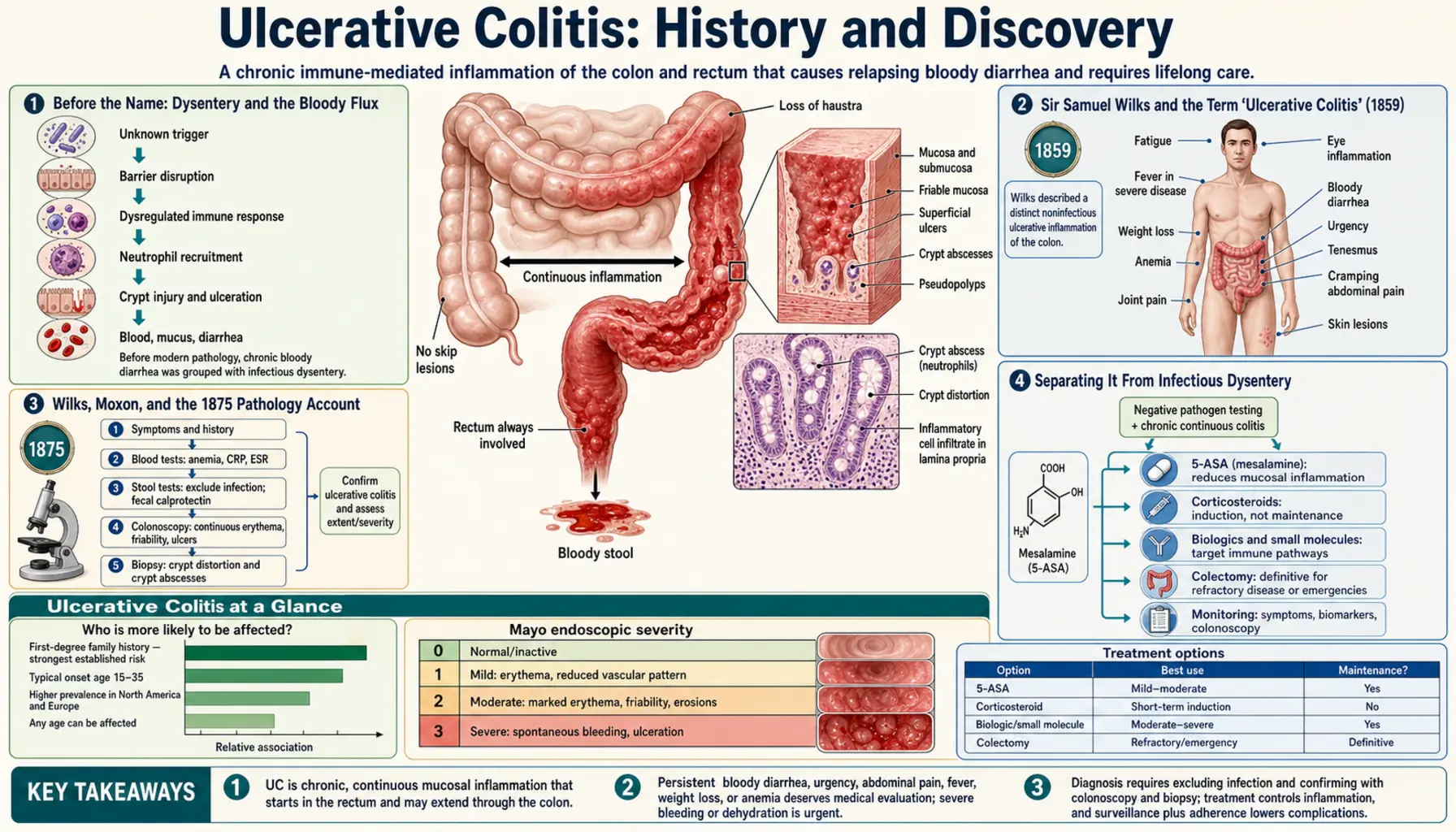 History — scientific infographic poster