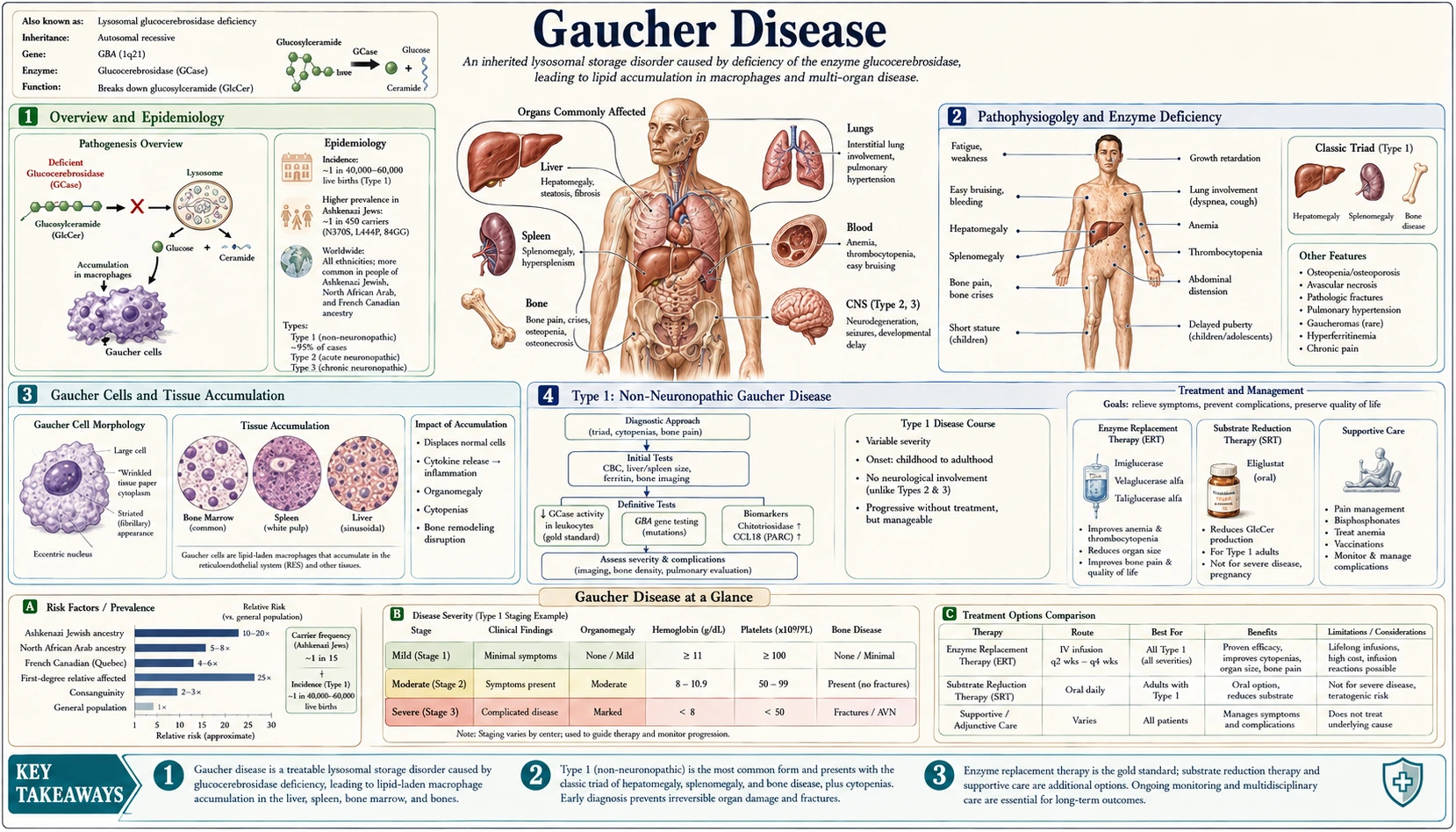 Gaucher Disease — scientific infographic poster