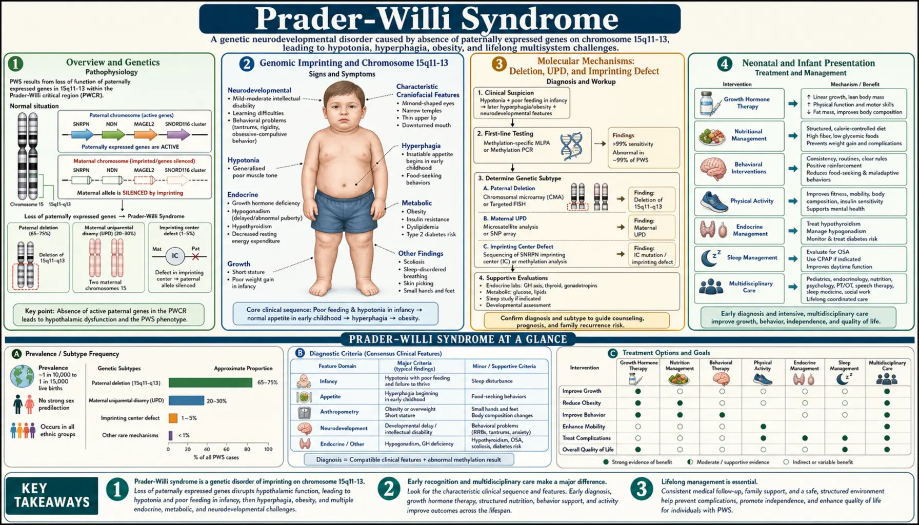 Prader Willi Syndrome — scientific infographic poster
