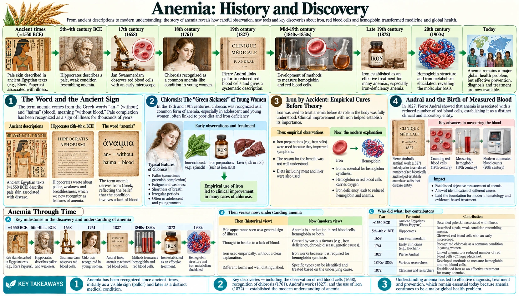 History — scientific infographic poster