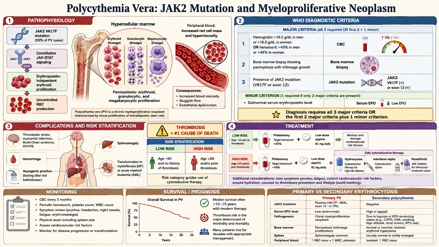 Polycythemia Vera — scientific infographic poster