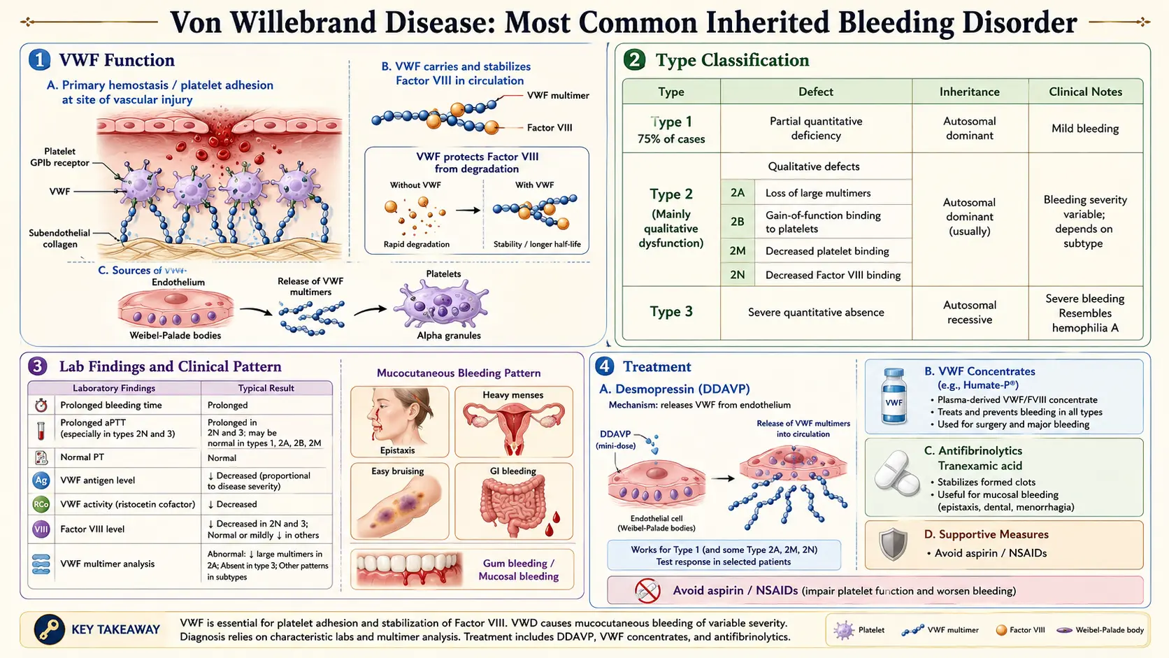 Von Willebrand Disease — scientific infographic poster