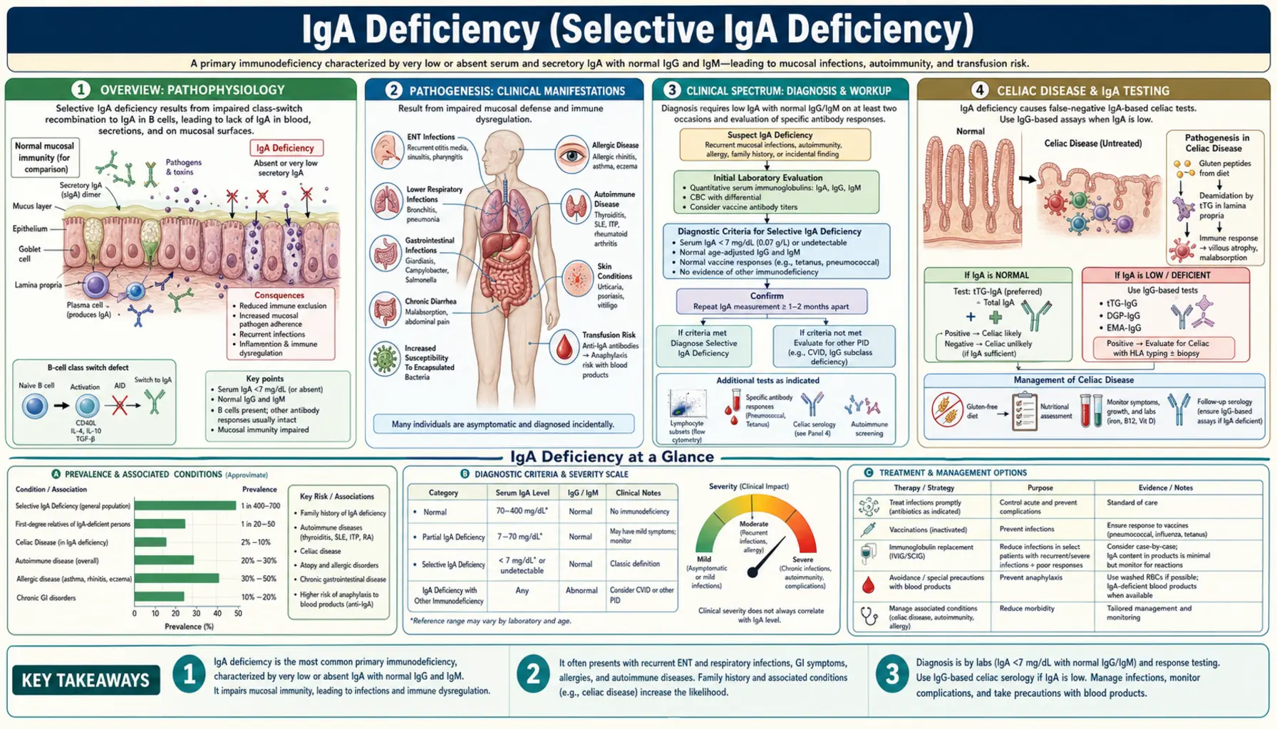 IgA Deficiency — scientific infographic poster