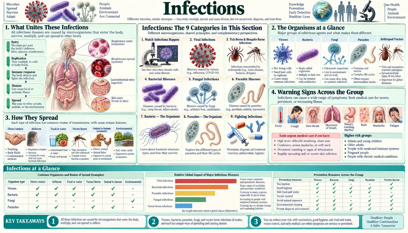 Infections — scientific infographic poster