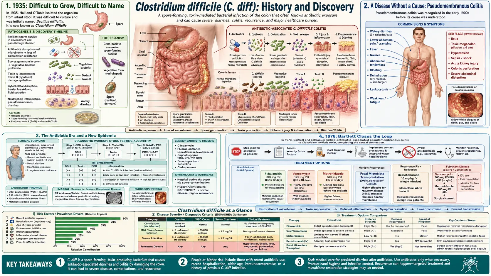 History — scientific infographic poster