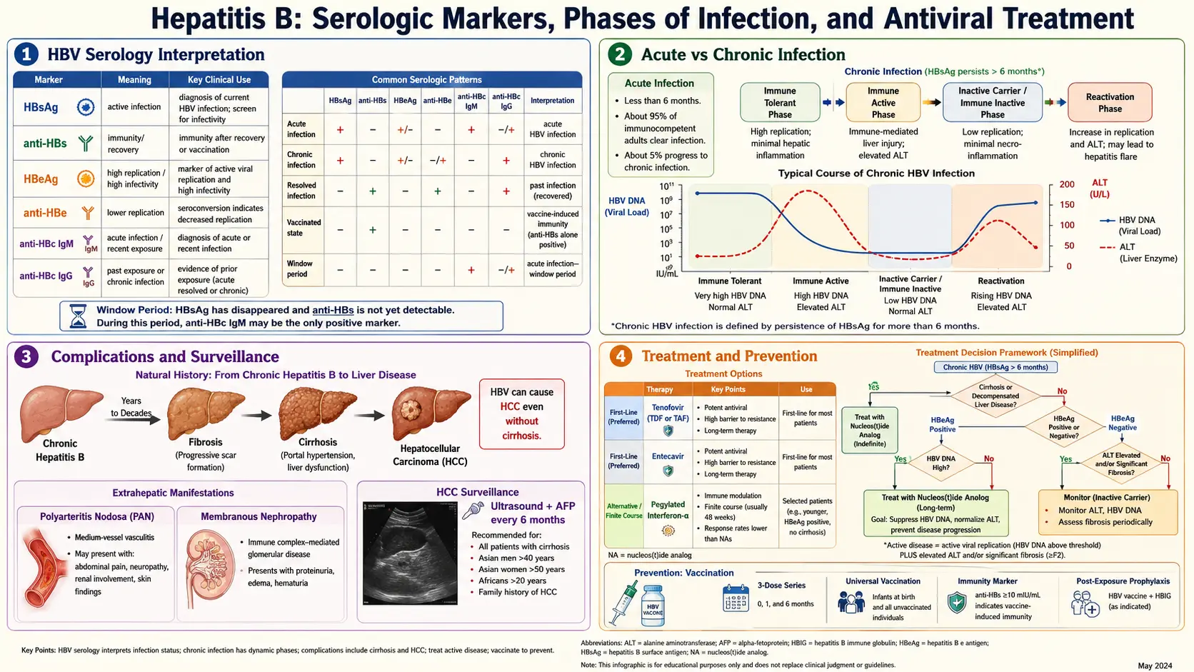 Hepatitis B — scientific infographic poster