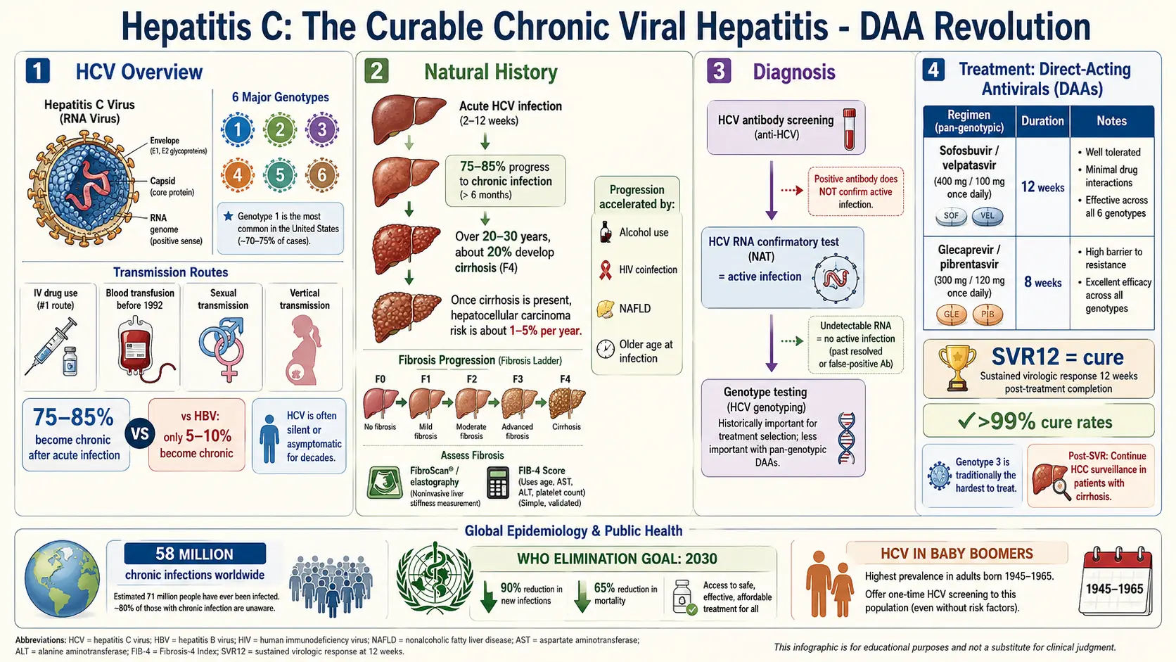 Hepatitis C — scientific infographic poster