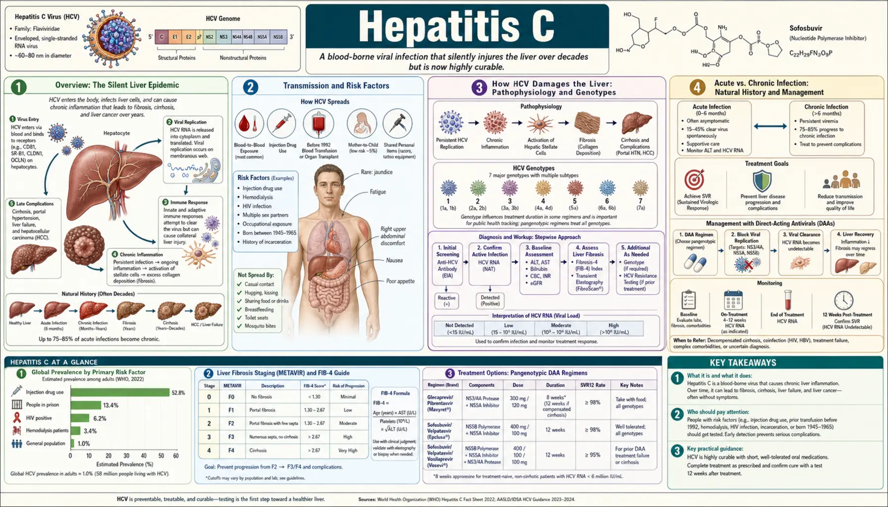 Hepatitis C — scientific infographic poster