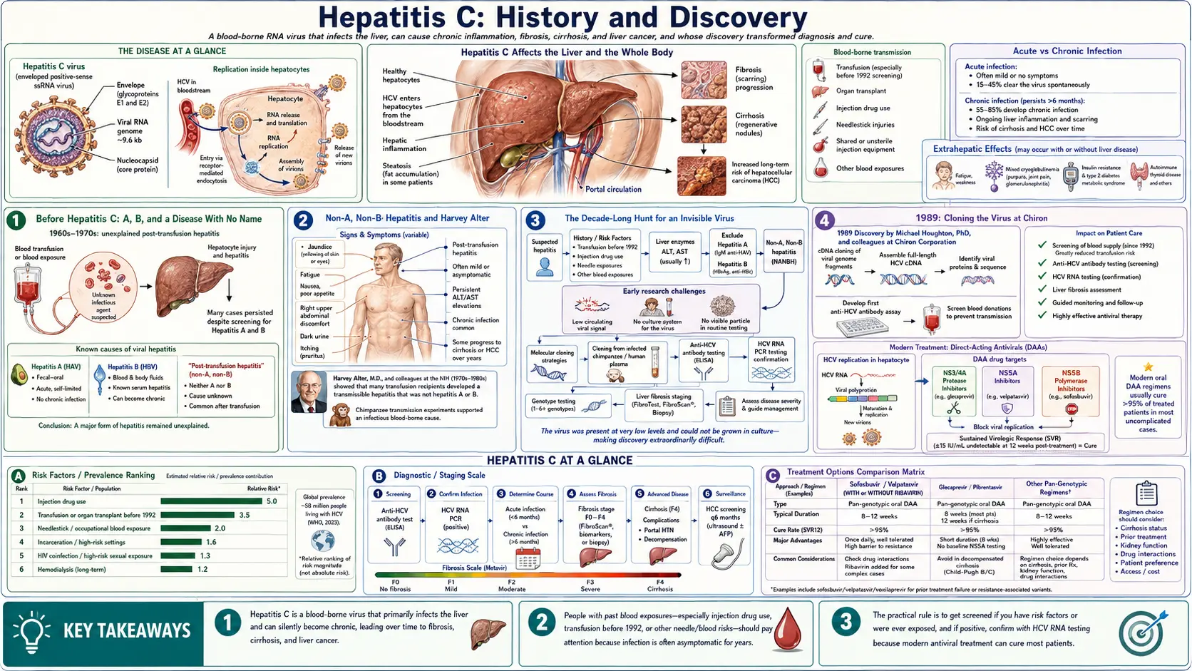 History — scientific infographic poster