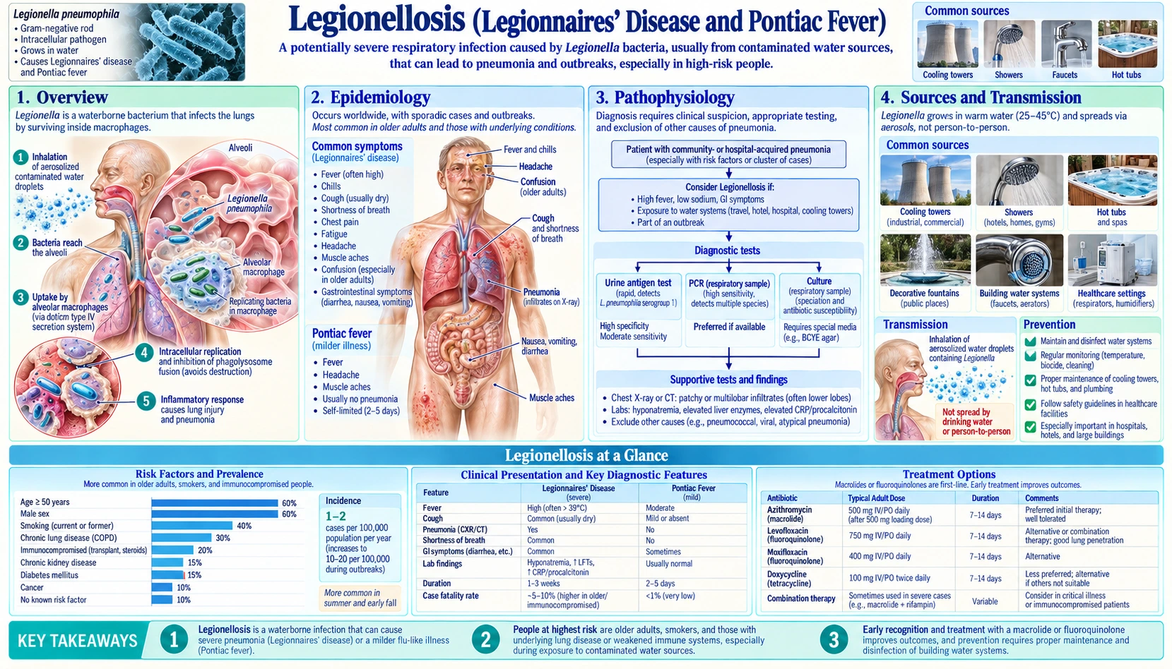 Legionellosis — scientific infographic poster