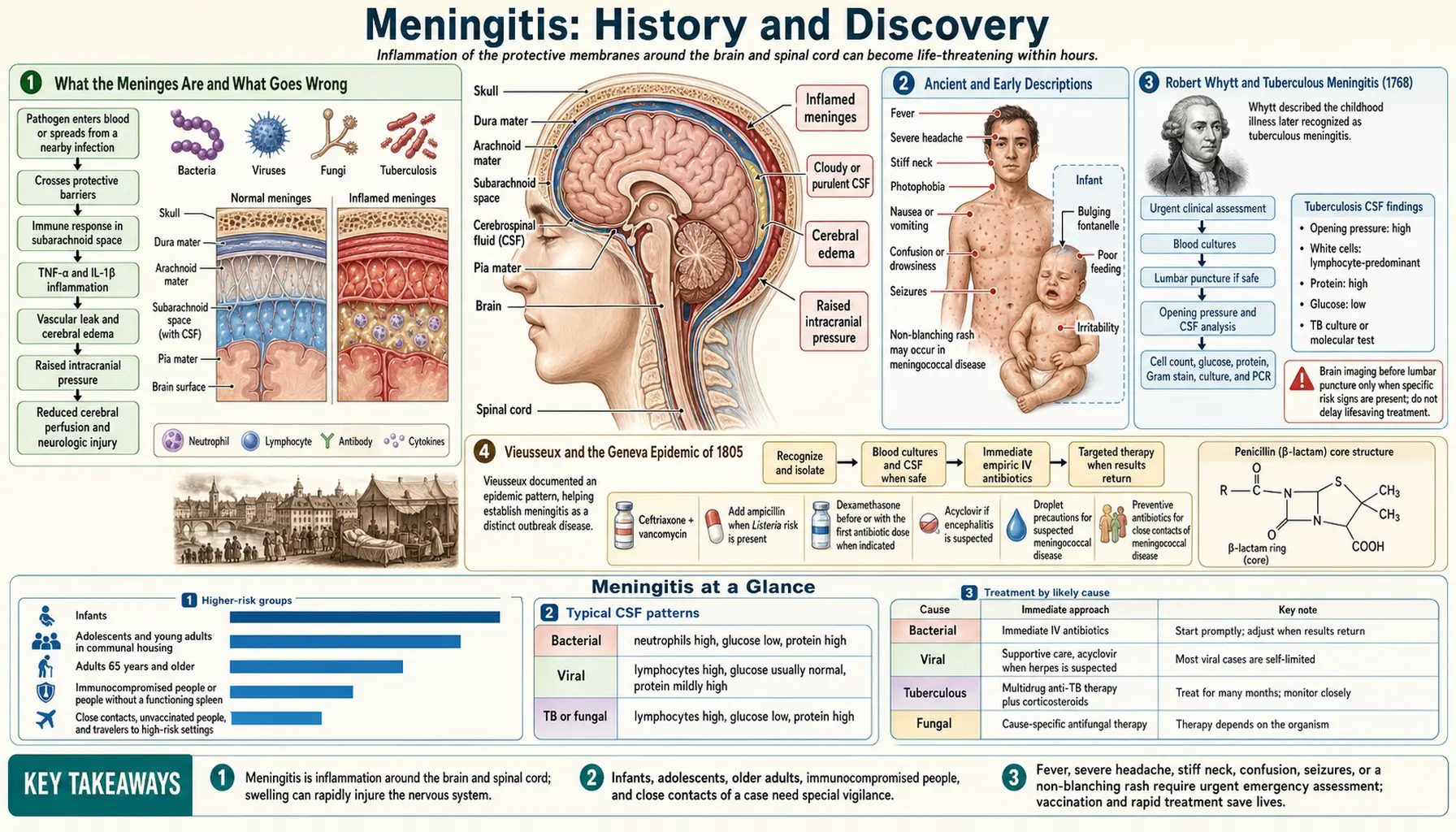 History — scientific infographic poster