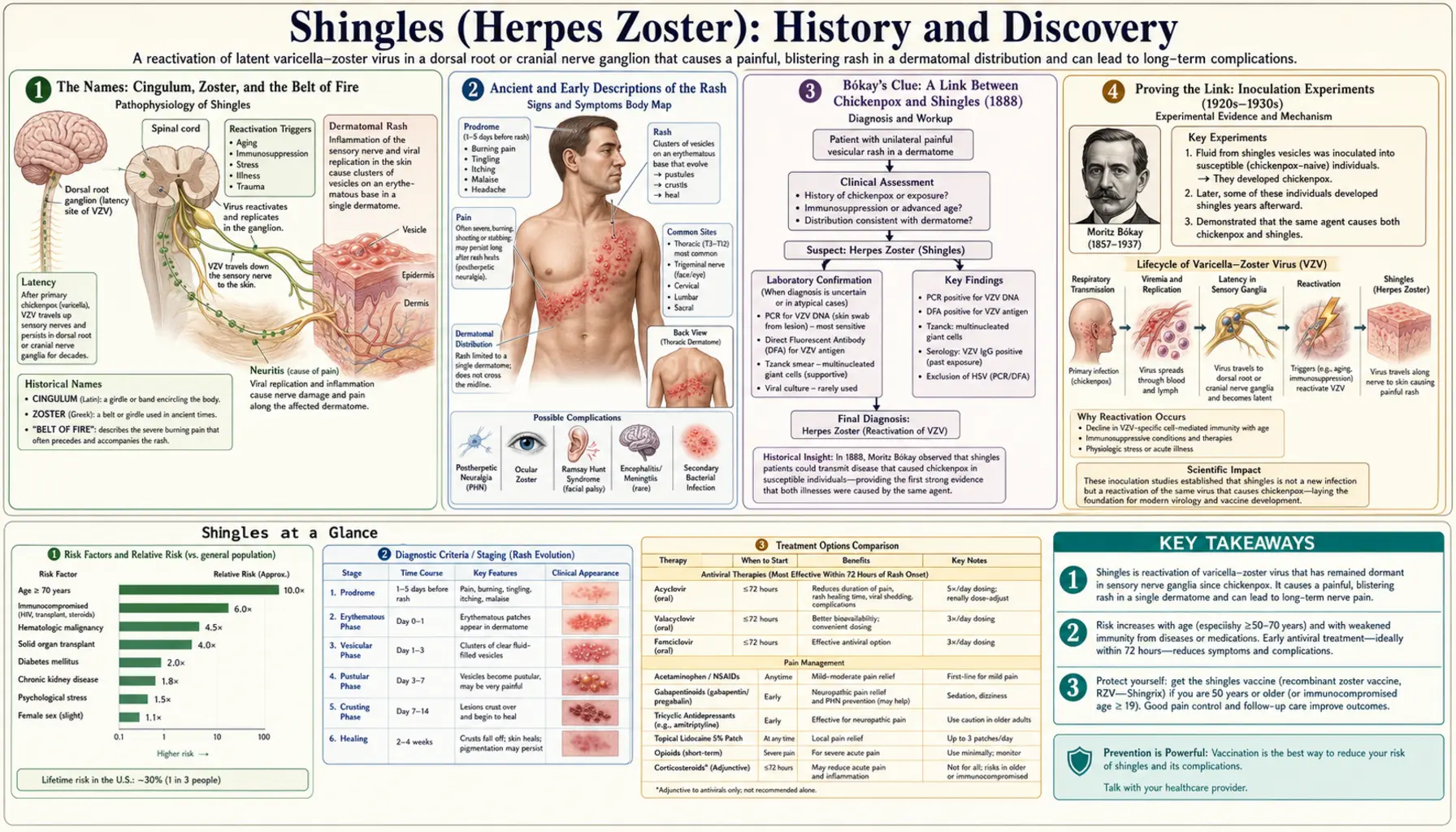 History — scientific infographic poster