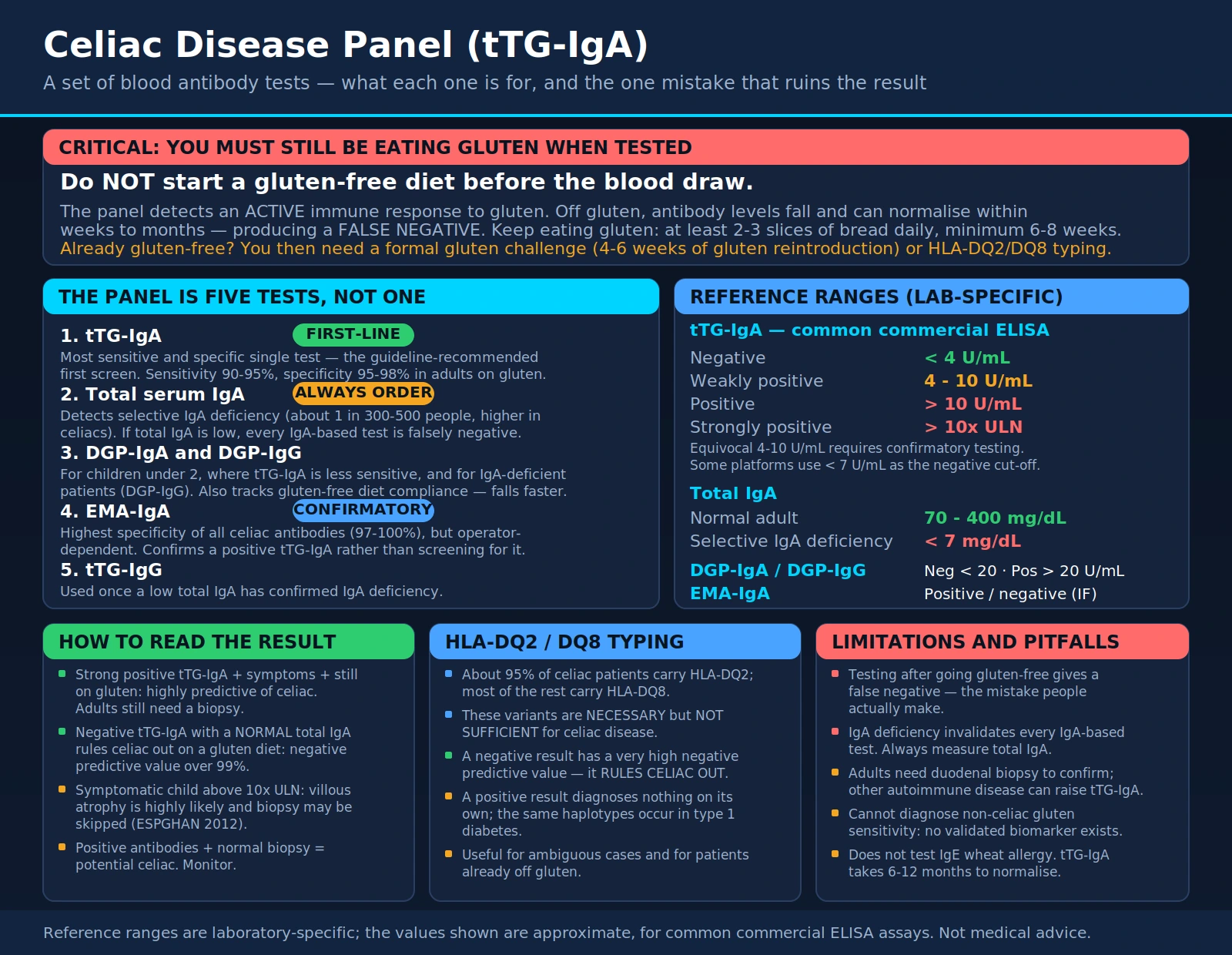 Celiac Disease Panel (tTG-IgA) — scientific infographic poster
